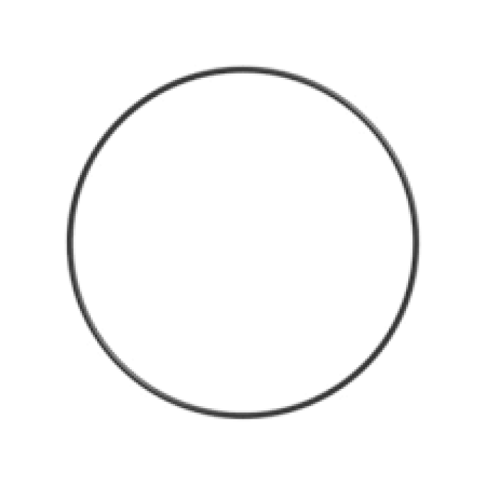 PLANET HUB O-RING 1H-8278