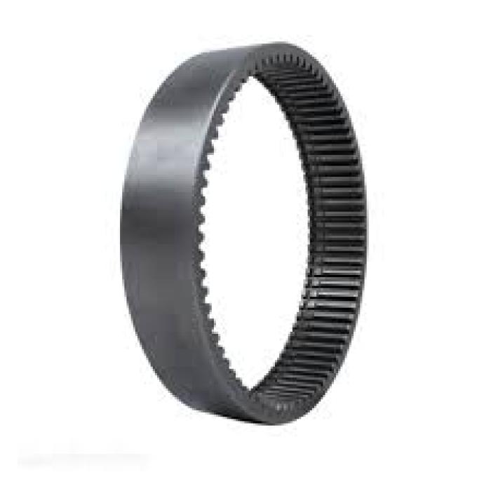 ANNULUS RING REAR 210-7302