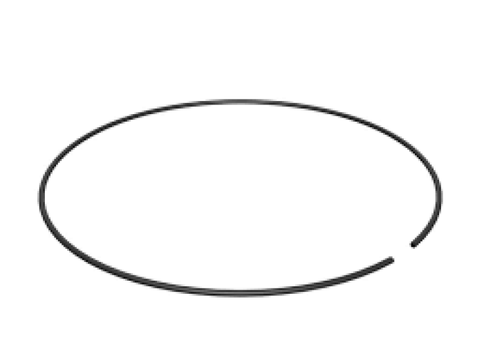 ANNULUS RING LOCK 199-0778