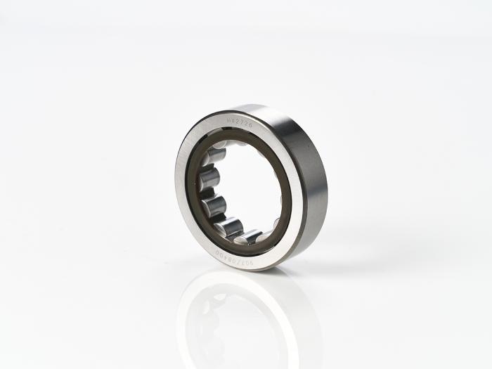 CYL. ROLLER BRG. 907/08400