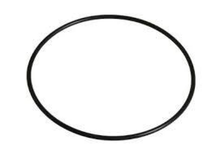 O RING 828/10181
