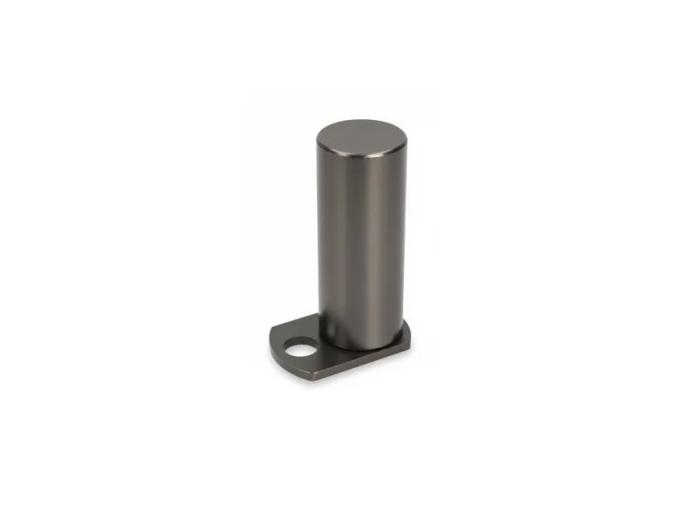 PIVOT PIN/KEEP PLATE WA 911/40048