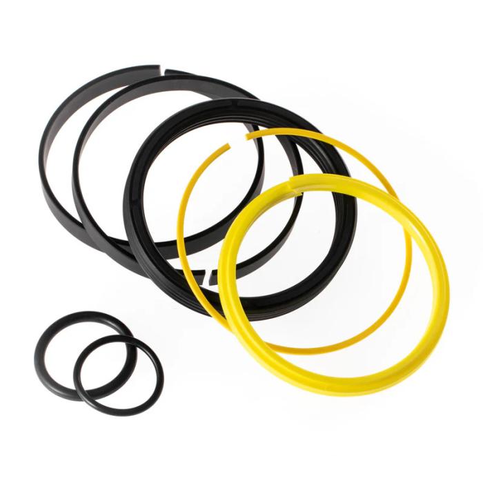 SEAL KIT 991/00018