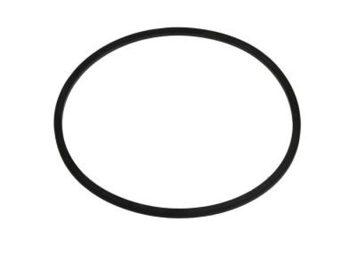 SEAL RING 813/50041