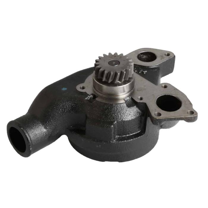 WATER PUMP P1000 02/200850